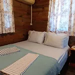 Sevgi 3 Sarigerme