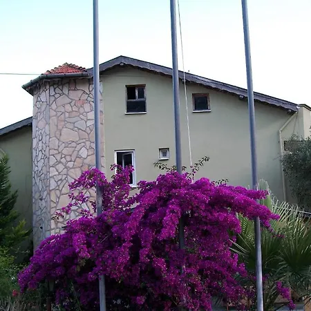 Hotel Sevgi 3 3*