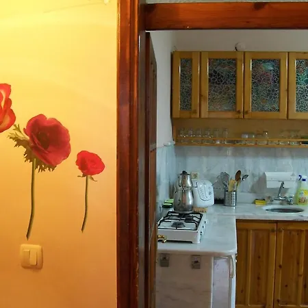 Hotel Sevgi 3 3*